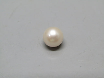 Pearl South Sea (Moti) 4.89 Carats South Sea (Moti) 4.89 Carats CSQ0042539