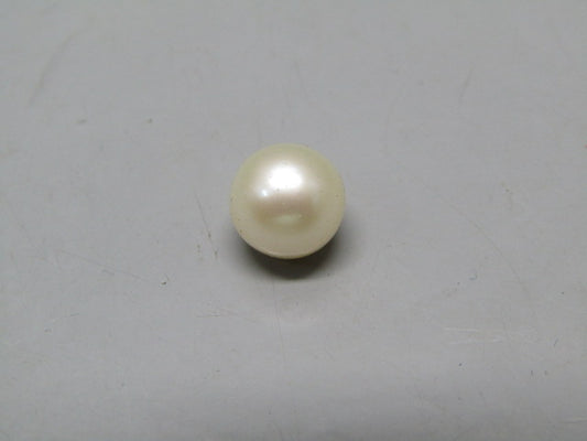 Pearl South Sea (Moti) 4.39 Carats South Sea (Moti) 4.39 Carats CSQ0042540