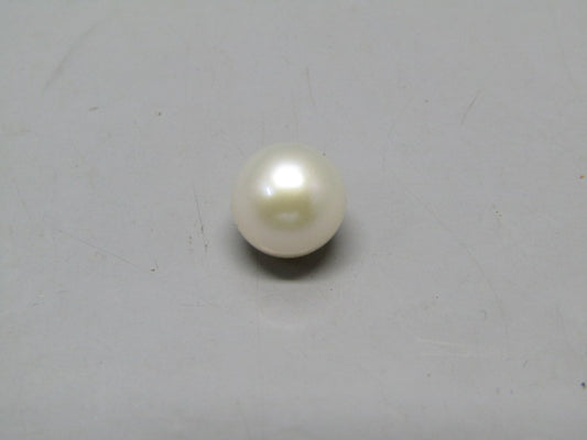 Pearl South Sea (Moti) 4.75 Carats South Sea (Moti) 4.75 Carats CSQ0042541