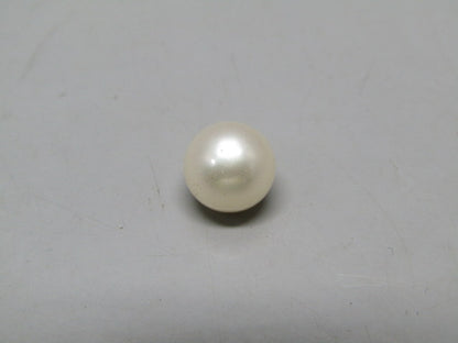 Pearl South Sea (Moti) 4.1 Carats South Sea (Moti) 4.1 Carats CSQ0042542