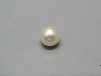 Pearl South Sea (Moti) 5 Carats South Sea (Moti) 5 Carats CSQ0042546