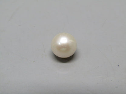 Pearl South Sea (Moti) 4.54 Carats South Sea (Moti) 4.54 Carats CSQ0042549