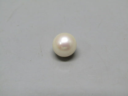Pearl South Sea (Moti) 4.25 Carats South Sea (Moti) 4.25 Carats CSQ0042551