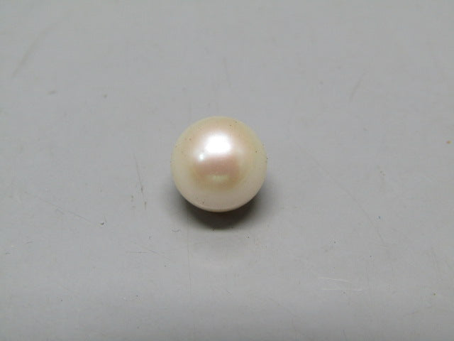 Pearl South Sea (Moti) 4.95 Carats South Sea (Moti) 4.95 Carats CSQ0042556