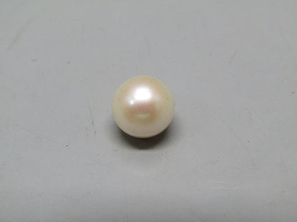 Pearl South Sea (Moti) 4.95 Carats South Sea (Moti) 4.95 Carats CSQ0042556