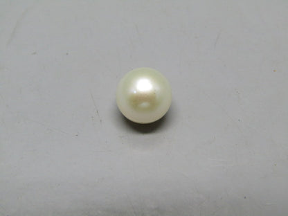 Pearl South Sea (Moti) 7.75 Carats South Sea (Moti) 7.75 Carats CSQ0042558