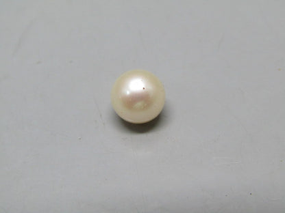 Pearl South Sea (Moti) 4.31 Carats South Sea (Moti) 4.31 Carats CSQ0042560