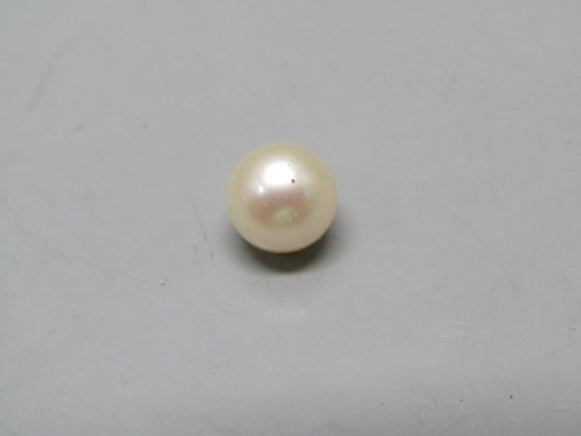 Pearl South Sea (Moti) 4.31 Carats South Sea (Moti) 4.31 Carats CSQ0042560