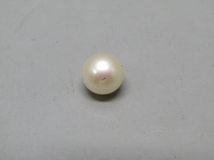 Pearl South Sea (Moti) 4.36 Carats South Sea (Moti) 4.36 Carats CSQ0042565