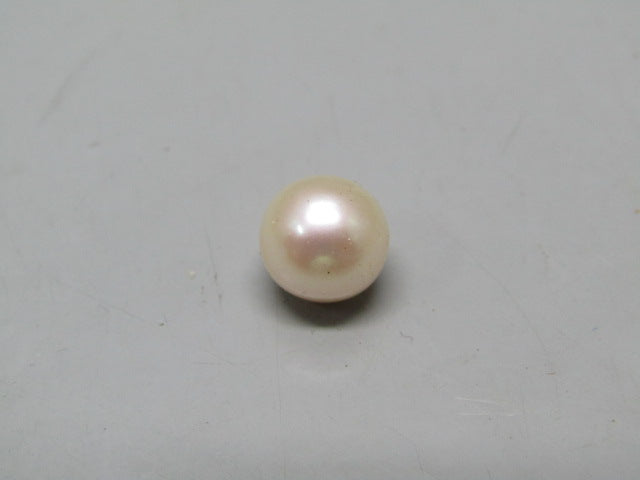 Pearl South Sea (Moti) 4.8 Carats South Sea (Moti) 4.8 Carats CSQ0042574