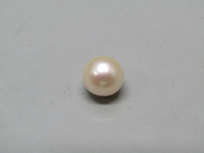 Pearl South Sea (Moti) 4.8 Carats South Sea (Moti) 4.8 Carats CSQ0042574