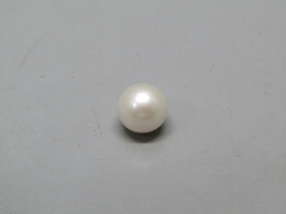 Pearl South Sea (Moti) 4.3 Carats South Sea (Moti) 4.3 Carats CSQ0042581