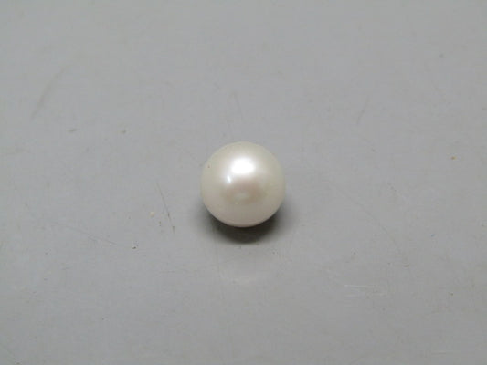 Pearl South Sea (Moti) 4.3 Carats South Sea (Moti) 4.3 Carats CSQ0042581