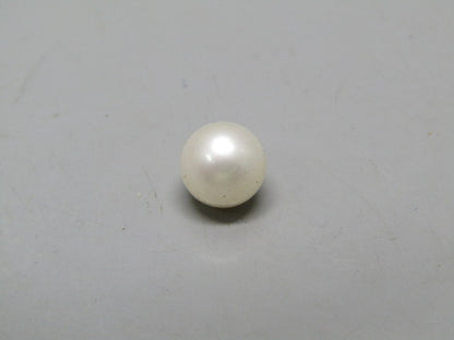 Pearl South Sea (Moti) 4.56 Carats South Sea (Moti) 4.56 Carats CSQ0042583