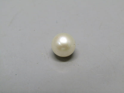 Pearl South Sea (Moti) 4.34 Carats South Sea (Moti) 4.34 Carats CSQ0042589