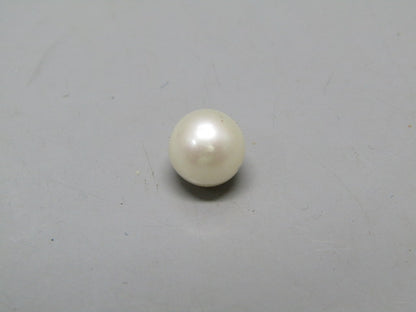 Pearl South Sea (Moti) 4.19 Carats South Sea (Moti) 4.19 Carats CSQ0042592
