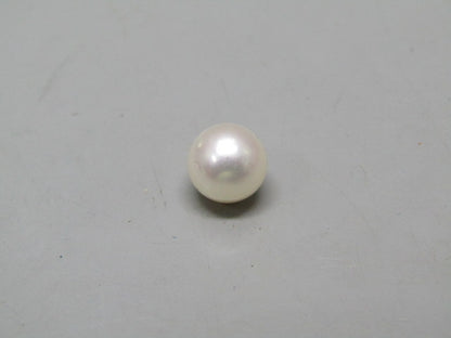 Pearl South Sea (Moti) 4.78 Carats South Sea (Moti) 4.78 Carats CSQ0042594