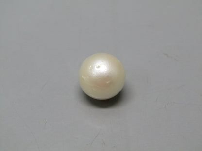 Pearl South Sea (Moti) 12.39 Carats South Sea (Moti) 12.39 Carats CSQ0042641