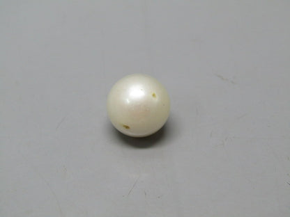 Pearl South Sea (Moti) 13 Carats South Sea (Moti) 13 Carats CSQ0042643