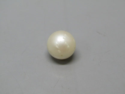 Pearl South Sea (Moti) 12.33 Carats South Sea (Moti) 12.33 Carats CSQ0042645