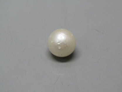 Pearl South Sea (Moti) 12.36 Carats South Sea (Moti) 12.36 Carats CSQ0042646