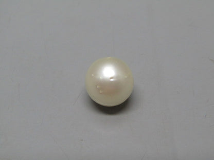 Pearl South Sea (Moti) 9.9 Carats South Sea (Moti) 9.9 Carats CSQ0042605
