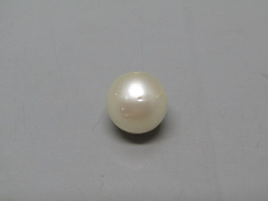 Pearl South Sea (Moti) 9.9 Carats South Sea (Moti) 9.9 Carats CSQ0042605