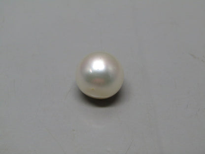 Pearl South Sea (Moti) 17.9 Carats South Sea (Moti) 17.9 Carats CSQ0042613