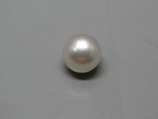 Pearl South Sea (Moti) 16.53 Carats South Sea (Moti) 16.53 Carats CSQ0042615