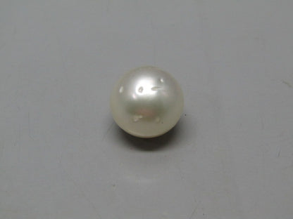 Pearl South Sea (Moti) 13.18 Carats South Sea (Moti) 13.18 Carats CSQ0042622