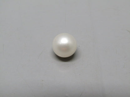 Pearl South Sea (Moti) 7.24 Carats South Sea (Moti) 7.24 Carats CSQ0042626