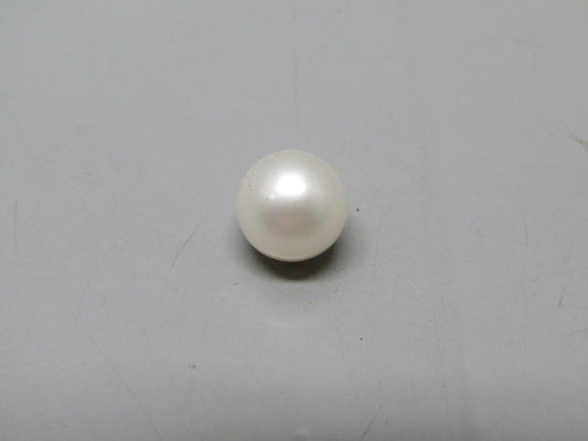 Pearl South Sea (Moti) 7.24 Carats South Sea (Moti) 7.24 Carats CSQ0042626