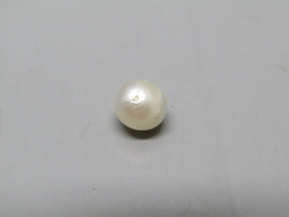 Pearl South Sea (Moti) 3.74 Carats South Sea (Moti) 3.74 Carats CSQ0042639