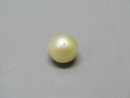 Pearl South Sea (Moti) 7.41 Carats South Sea (Moti) 7.41 Carats CSQ0042705