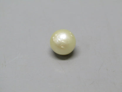 Pearl South Sea (Moti) 6.74 Carats South Sea (Moti) 6.74 Carats CSQ0042708