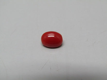 Natural Coral 1.13 Ct Japani Moonga Report No. CSP0033698
