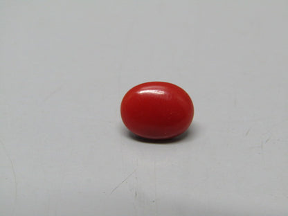 Natural Coral 1.98 Ct Japani Moonga Report No. CSP0033704