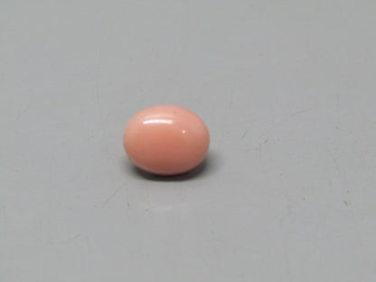 Natural Coral 2.97 Ct Japani Moonga Report No. CSP0033784