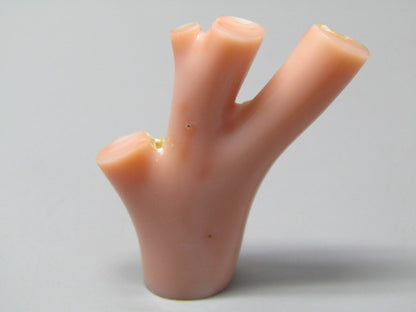 Natural Coral 59.56 Ct Japani Moonga Rough Report No. CSP0033791