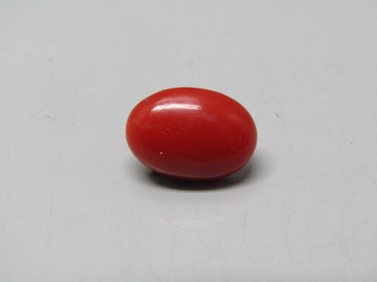 Natural Coral 4.73 Ct Japani Moonga Report No. CSP0033795