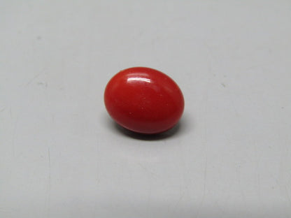Natural Coral 2.88 Ct Japani Moonga Report No. CSP0033798