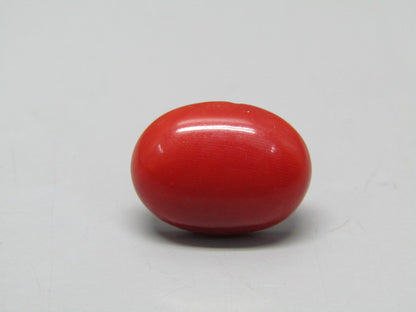 Natural Coral 7.73 Ct Japani Moonga Report No. CSP0033709