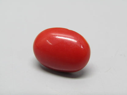 Natural Coral 7.73 Ct Japani Moonga Report No. CSP0033709