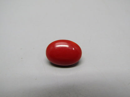 Natural Coral 7.21 Ct Japani Moonga Report No. CSP0034027