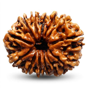 6–8 mm