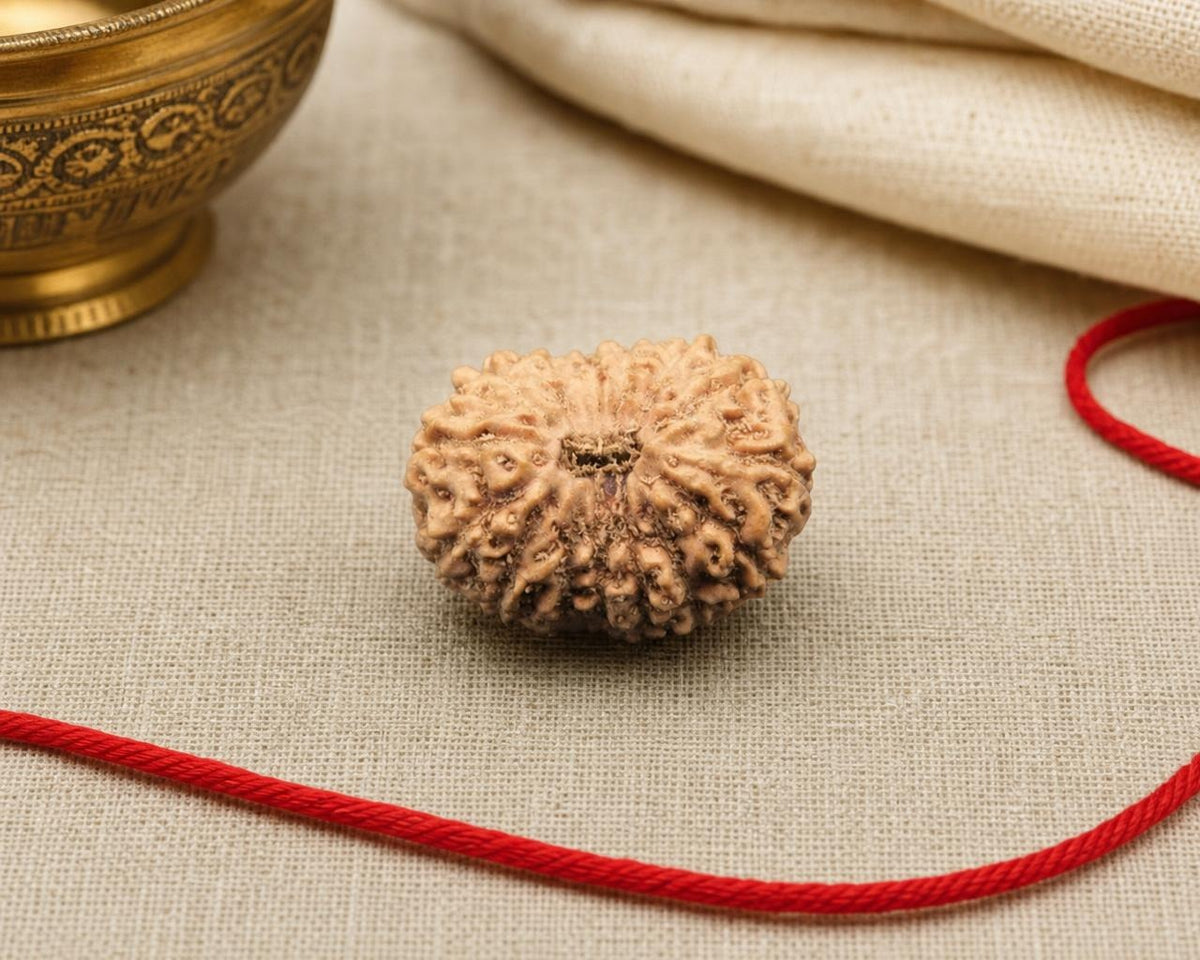 15 Mukhi natural rudraksha bead with red cord on beige fabric background