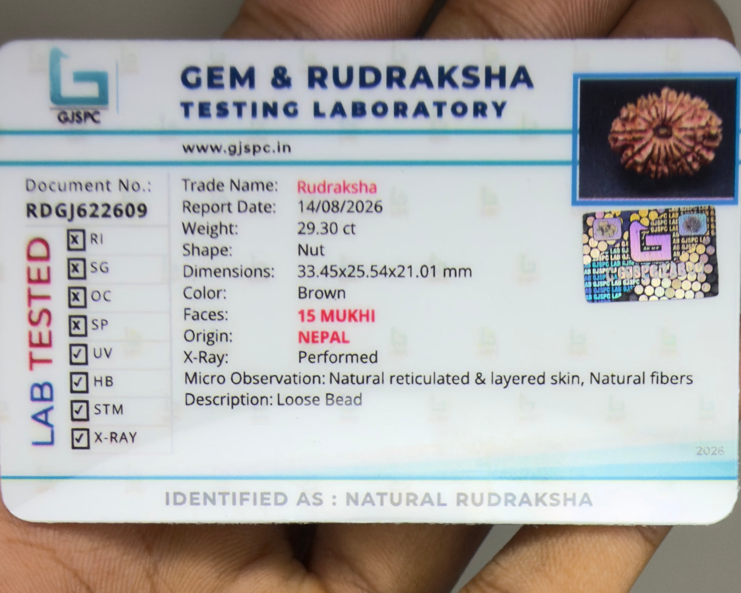 Gem and Rudraksha testing laboratory label for natural 15 Mukhi Nepal rudraksha report