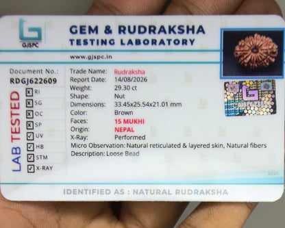 Gem and Rudraksha testing laboratory label for natural 15 Mukhi Nepal rudraksha report