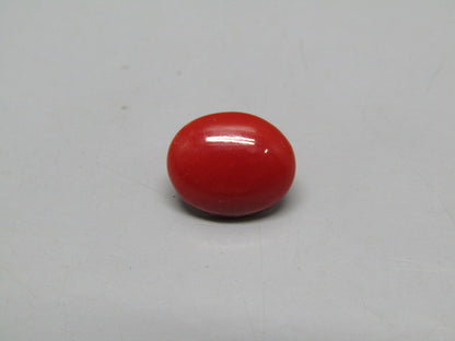 Natural Coral 2.8 Ct Japani Moonga Report No. CSP0034144