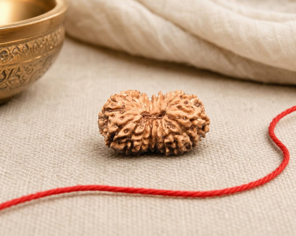 Natural 18 Mukhi Indonesian rudraksha bead with red thread on light fabric background